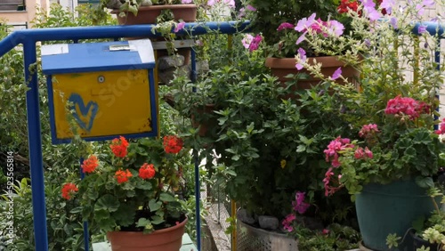 Decorative Mailbox with Heart, Flower Pots, Residential Neighborhood, Close Up