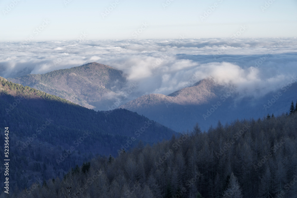 Fototapeta premium Fog revealing Ligurian Alps mountain range, Province of Imperia, Italy