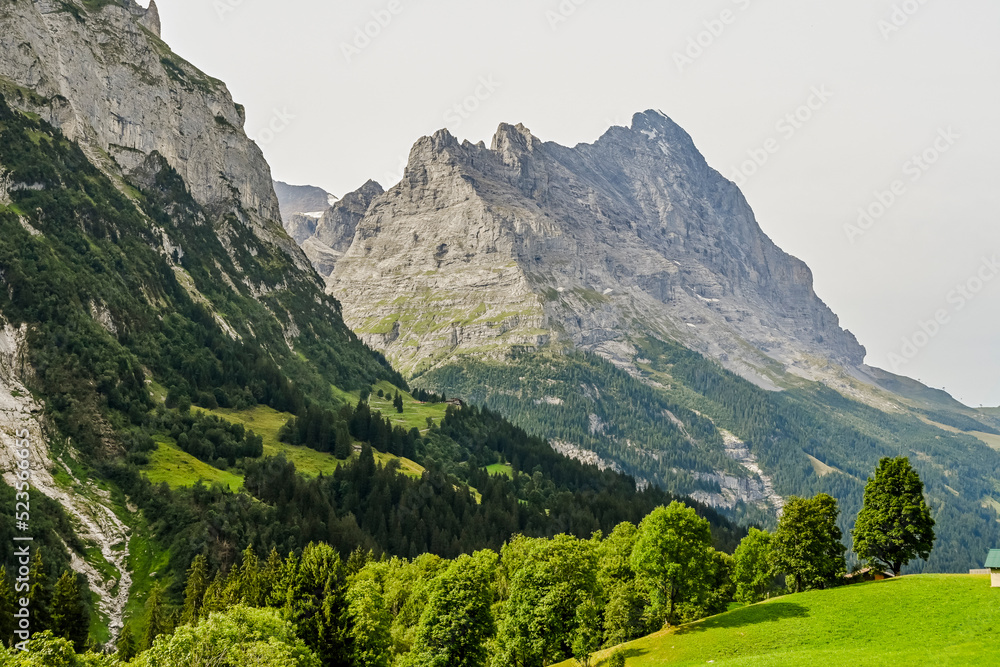 Grindelwald, Eiger, Eigernordwand, Alpen, Berner Oberland, Unterer Grindelwaldgletscher, Kleine Scheidegg, Wanderweg, Bergdorf,  Sommer, Schweiz