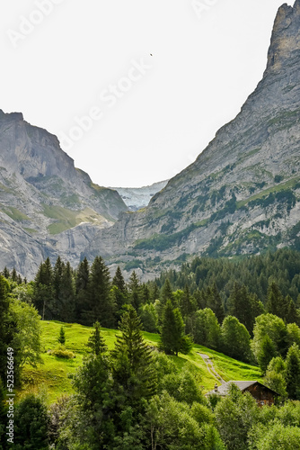 Grindelwald  Wetterhorn  Oberer Grindelwaldgletscher  Wanderweg  Grosse Scheidegg  Milchbach  Schreckhorn  Glecksteinh  tte  Berglistock  Alpen  Berner Oberland  Sommer  Schweiz