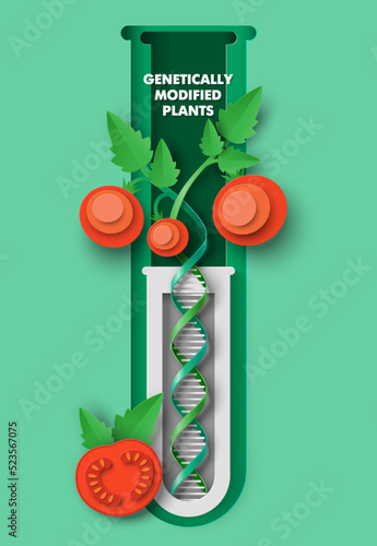 Genetically modified tomato plant 3d vector poster