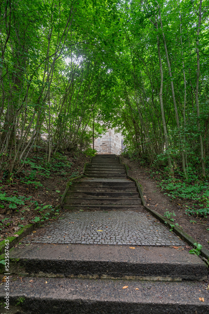 Obraz premium Treppe aufwärts durch einen Laubwald