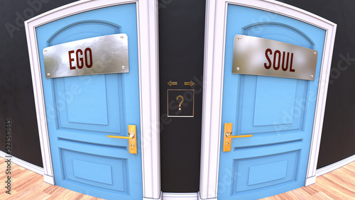 Ego or Soul - a choice. Two options to choose from represented by doors leading to different outcomes. Symbolizes decision to pick up either Ego or Soul.,3d illustration