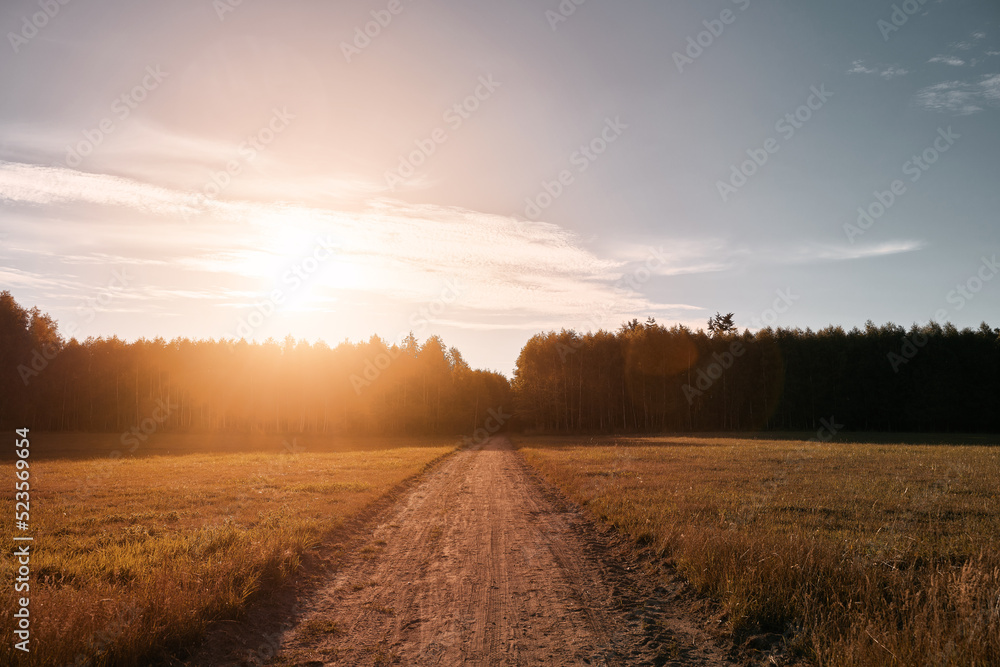 Naklejka premium Distant trees in the agriculture field. Summer evening landscape in the evening.