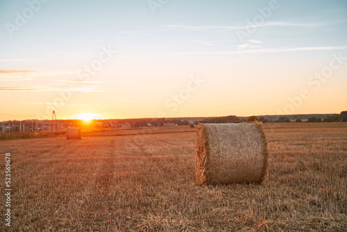 Circle hay bales bales in the sunset