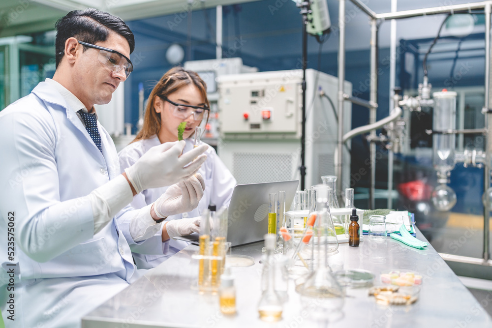 chemical medicine scientist working research for CBD oil from organic cannabis hemp plant in medical science laboratory, test a ganja nature herb to make a alternative herbal extract drug for health chemical medicine scientist working research for CBD oil from organic cannabis hemp plant in medical science laboratory, test a ganja nature herb to make a alternative herbal extract drug for health
