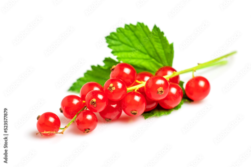 Red currants with leaf isolated on white