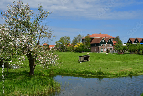 Marken, Netherlands - may 22 2022 : touristy village centre © PackShot