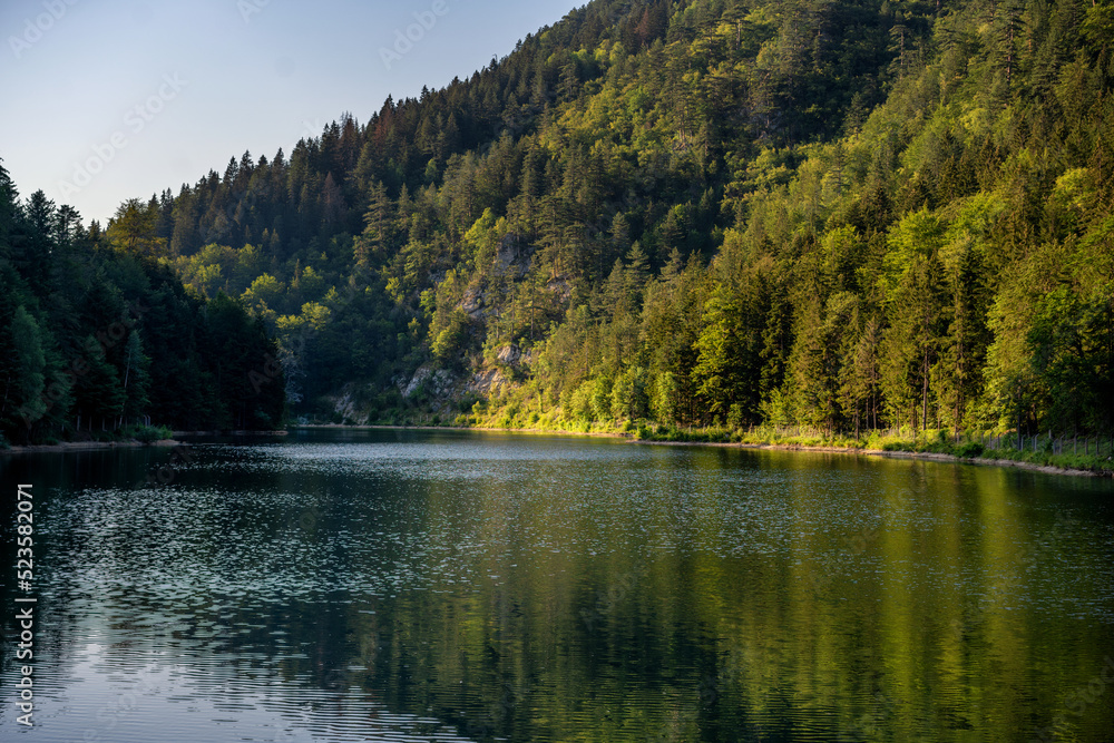 Mountain lake in a pine forest, trees reflect in the surface of the water