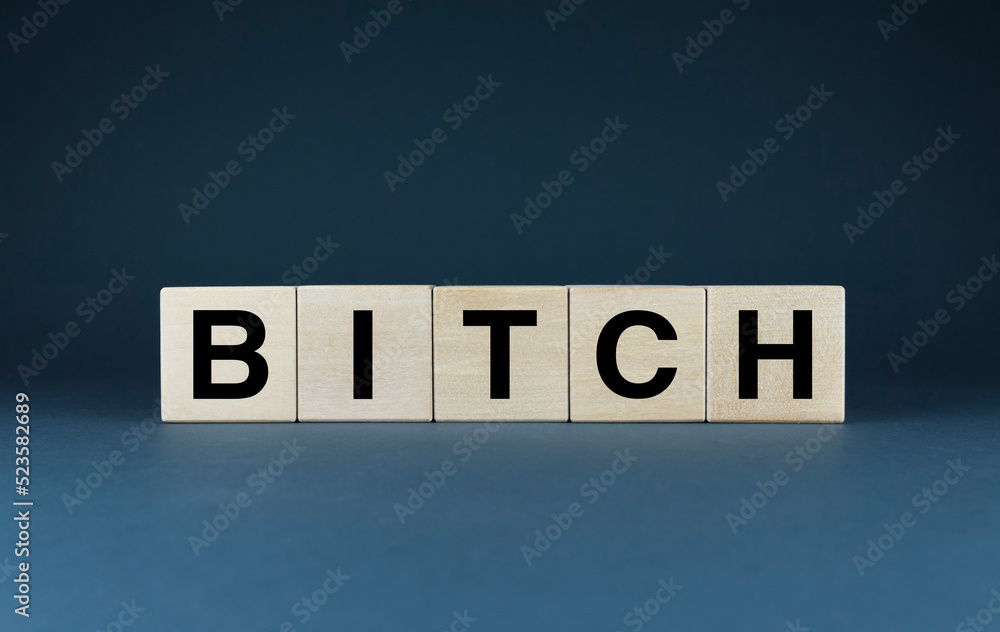 Bitch. Cubes form the word Bitch. Photos