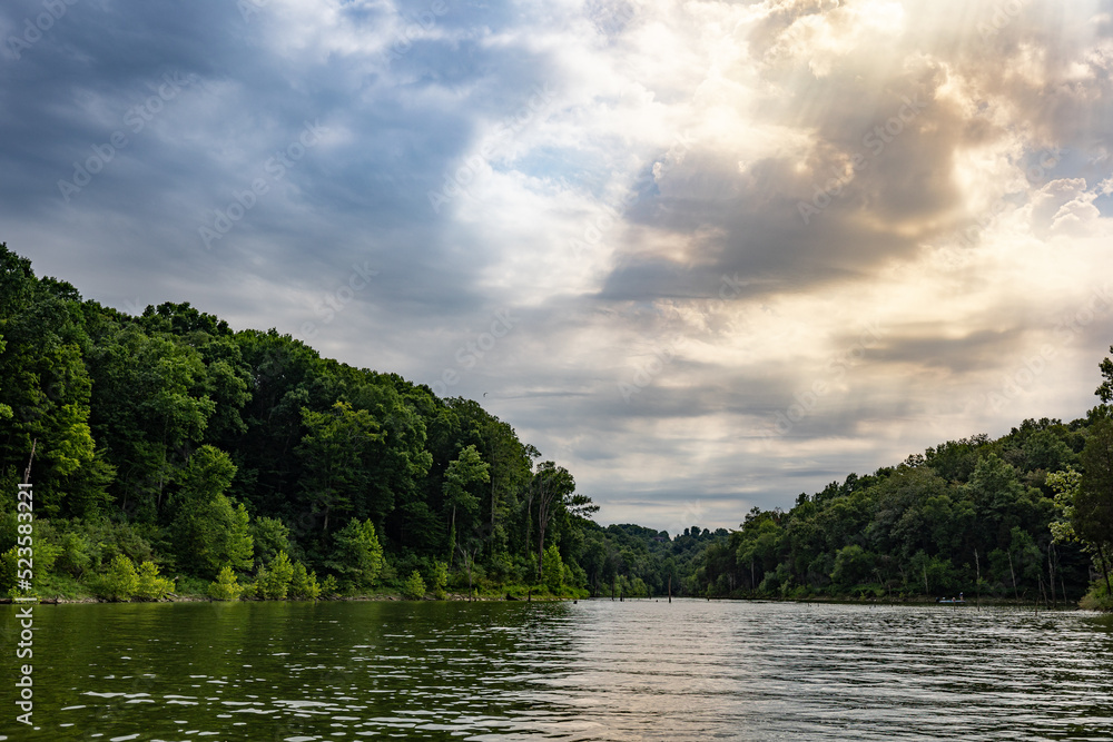 Naklejka premium A bay surrounded by forest with logs sticking out of the water in Taylorsville lake in Central Kentucky