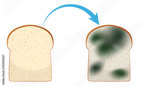 Inedible bread with mould