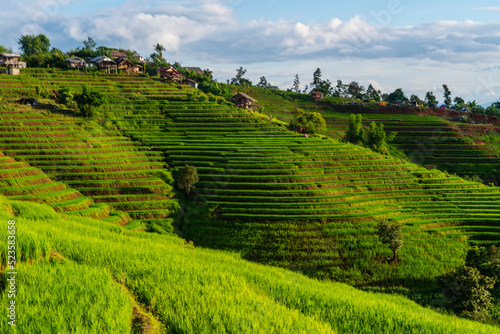 Rice fields on hills, terraced rice fields, houses in the midst of nature, a tourist destination, a tourist destination in northern Thailand.