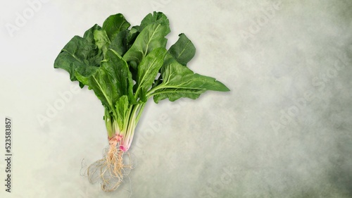 Fotografía Tasty fresh green herbs, sorrel on background.