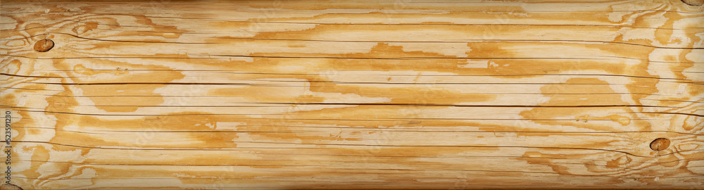 Obraz premium Larch wood texture background