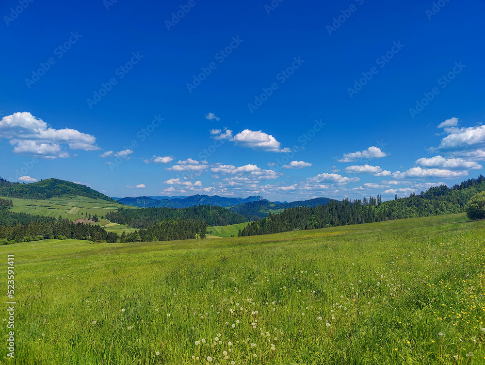 Widok na Tatry