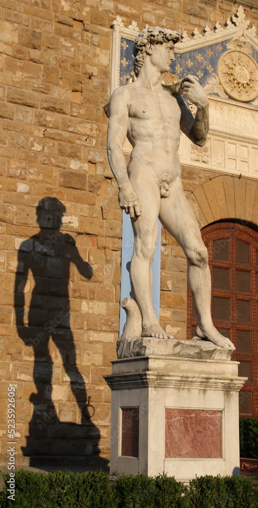 Obraz premium David di Michelangelo, Palazzo Vecchio.