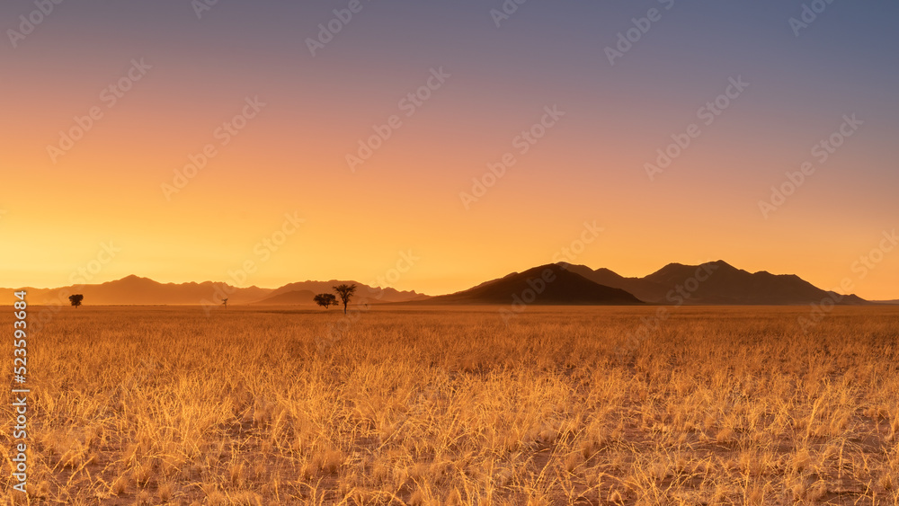 Sunrise in desert landscape,  NamibRand Nature Reserve, Namib, Namibia