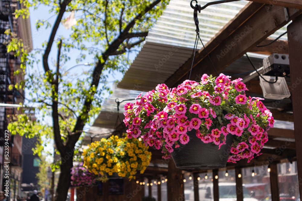 Beautiful Hanging Flower Pots with Colorful Flowers on an Outdoor Dining Setup in the East Village of New York City