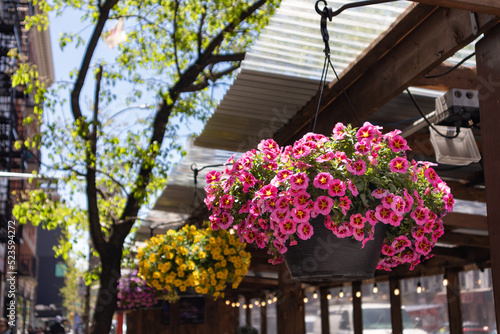 Canvas Print Beautiful Hanging Flower Pots with Colorful Flowers on an Outdoor Dining Setup i