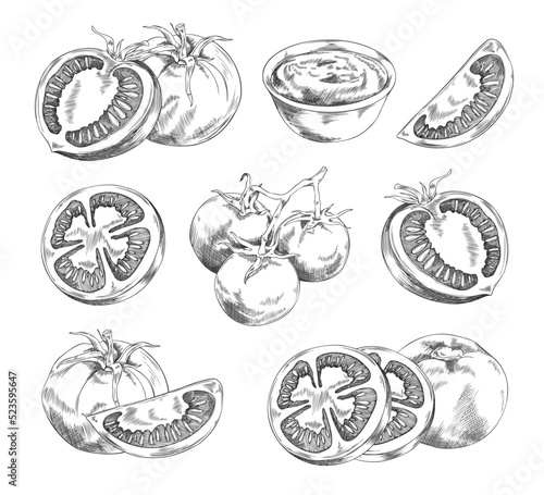 Set of hand drawn tomatoes, monochrome, vector illustration © sabelskaya
