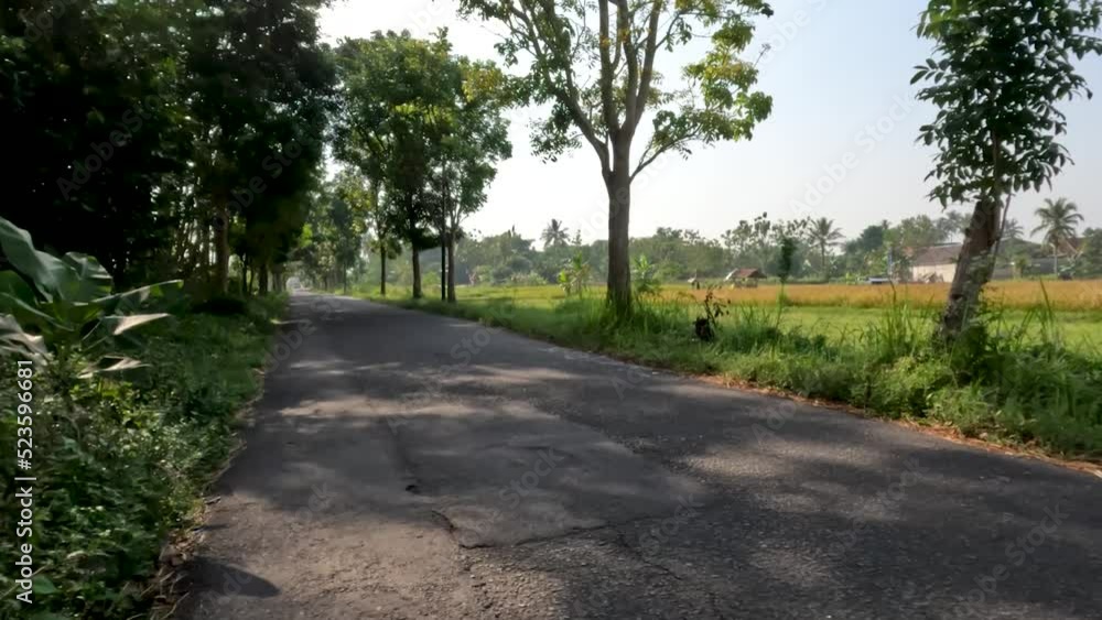 The scenery along the small path that passes through the agricultural area The scenery along the small path that passes through the agricultural area