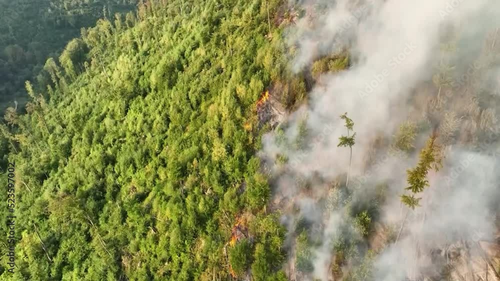 Fire in the Forest. Aerial view of large clouds of smoke and fire on the field. Flying over a forest fire and plumes of smoke. Natural disaster due to extreme heat and climate change. Fire in the Forest. Aerial view of large clouds of smoke and fire on the field. Flying over a forest fire and plumes of smoke. Natural disaster due to extreme heat and climate change.