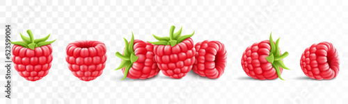 Collection of ripe raspberries isolated on background. Natural summer fruit, realistic 3d vector illustration. Ingredient for juices, jams, yogurts, compotes. Mockup for package design