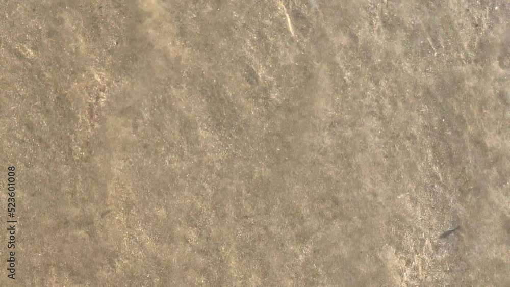 Small wave hitting the beach on a sunny day. Empty text space Small wave hitting the beach on a sunny day. Empty text space