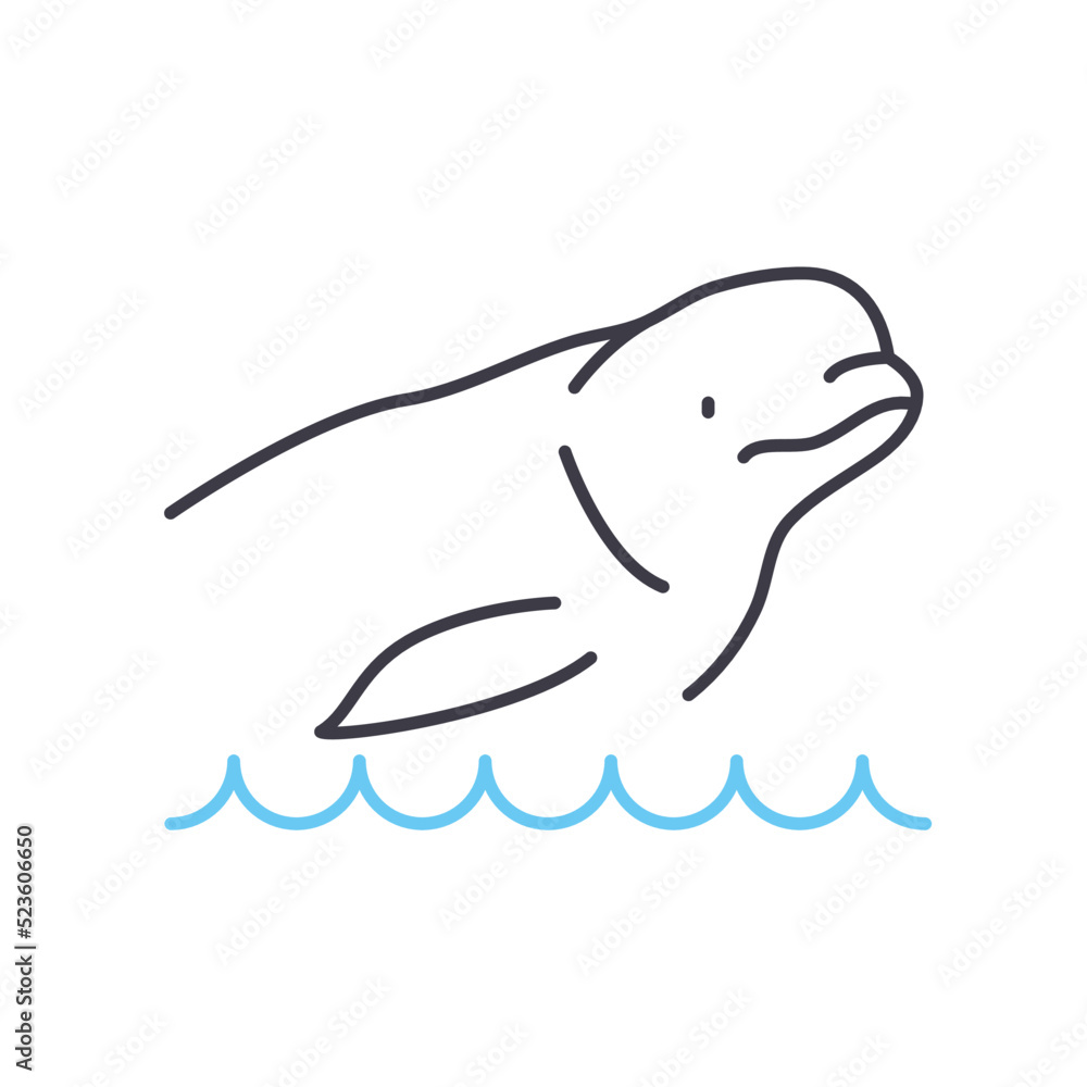 Obraz premium beluga whale line icon, outline symbol, vector illustration, concept sign