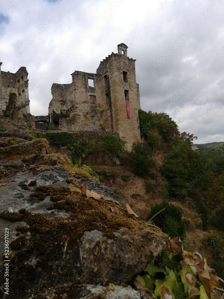 Château de Saint-Martin-Laguépie