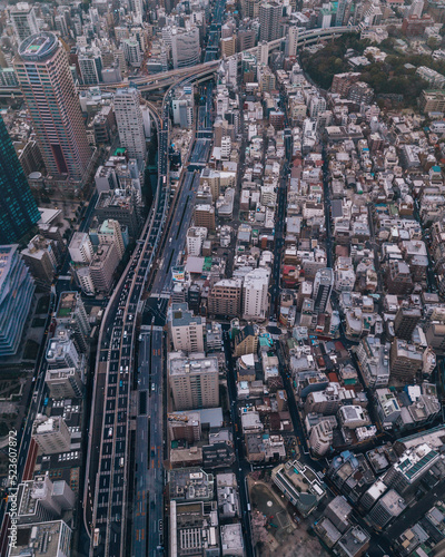 Canvas Print aerial top down perspective on street grid in Tokyo Minato, Japan