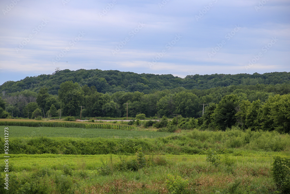 landscape with trees and clouds