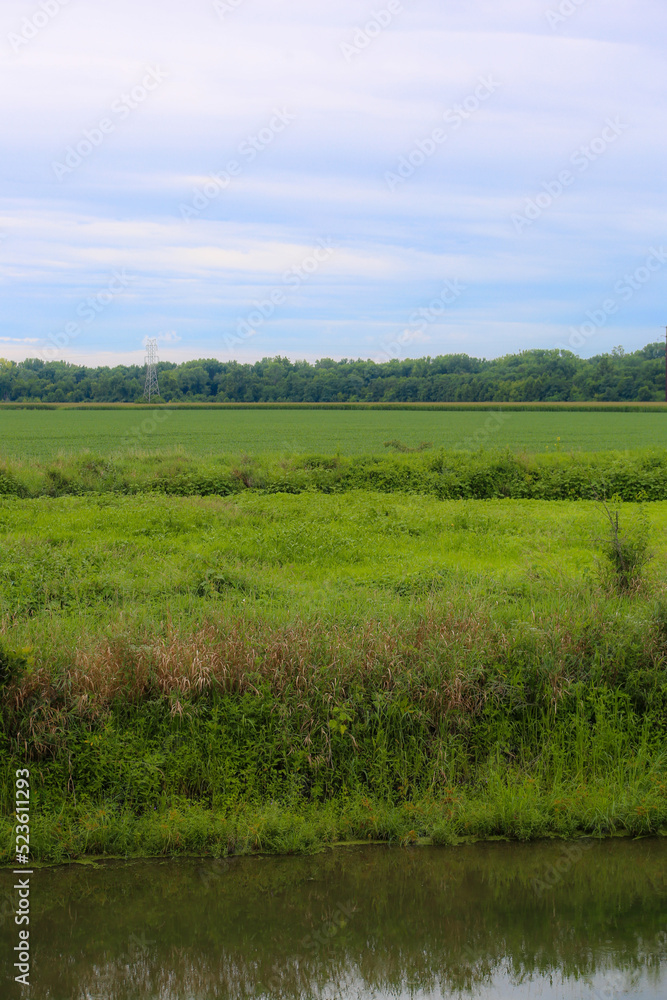 Obraz premium landscape with a river in the country