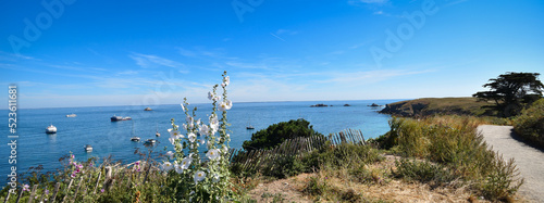 Île d'Houat, Gulf of Morbihan, France, wide angle, island flowers, lavatera arborea, sailboats, island flora, white flowers, azure blue, Atlantic ocean, skyline, palette of blues, Bretagne