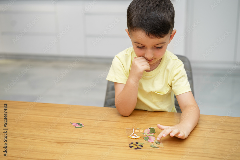 Child with glass picture frame, pressed leaves, and pressed flowers making herbarium on dining wood table in home. Child with glass picture frame, pressed leaves, and pressed flowers making herbarium on dining wood table in home.
