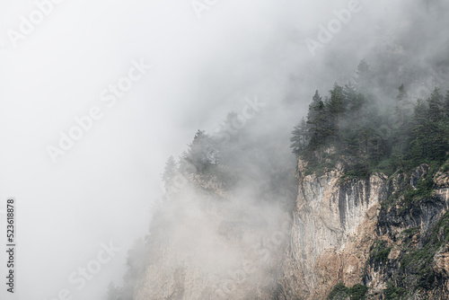 Morning fog in the mountains at sunrise. Clouds over the rocks and trees.