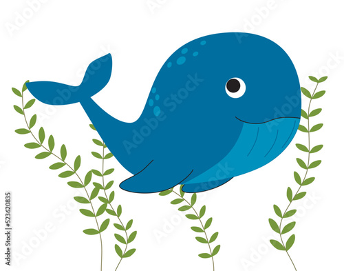 Whale in sea weed