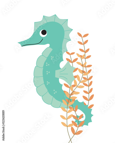 blue seahorse in orange sea weed