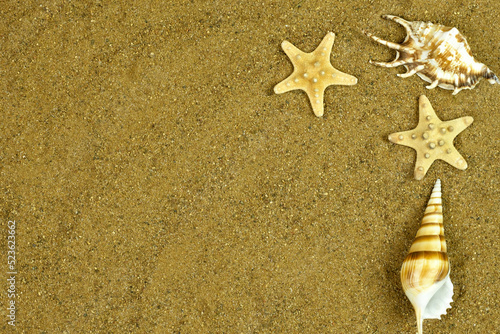 Sea beach sand background with seashells and starfish, top view. Natural seashore textured surface, copy space