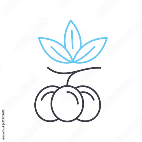 blueberry line icon, outline symbol, vector illustration, concept sign