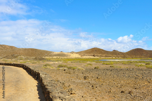 Saladar de Isla de Lobos, Canarias photo