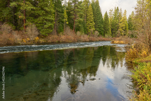 Metolius river in the forest of central Oregon.