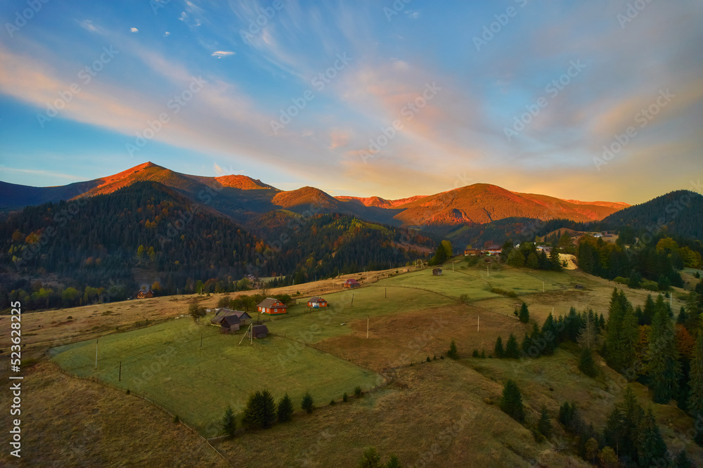 Obraz premium Aerial drone view over autumn forest. Colorful trees in the wood. Autumn forest aerial drone view. Autumn background, aerial drone view of beautiful forest landscape with autumn trees from above.