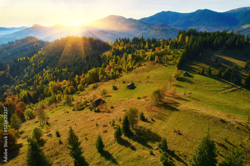 Obraz premium Aerial view of mountains at sunrise in autumn in Ukraine. Colorful landscape with mountain road, forest, houses on the hills, sunlight, sky in fall.
