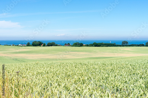 beautiful vast landscape, green fields and blue sky on a sunny summer day in Mecklenburg Western Pomerania