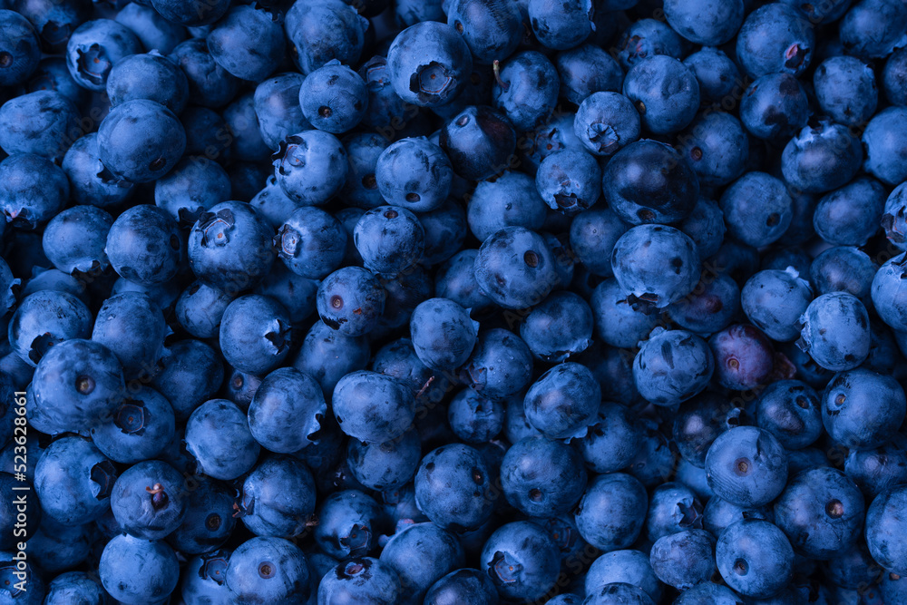 Fresh blueberry background. Texture blueberry berries close up. Fresh blueberry background. Texture blueberry berries close up.