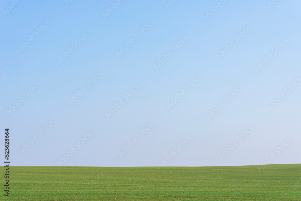 Green field with blue sky as background.