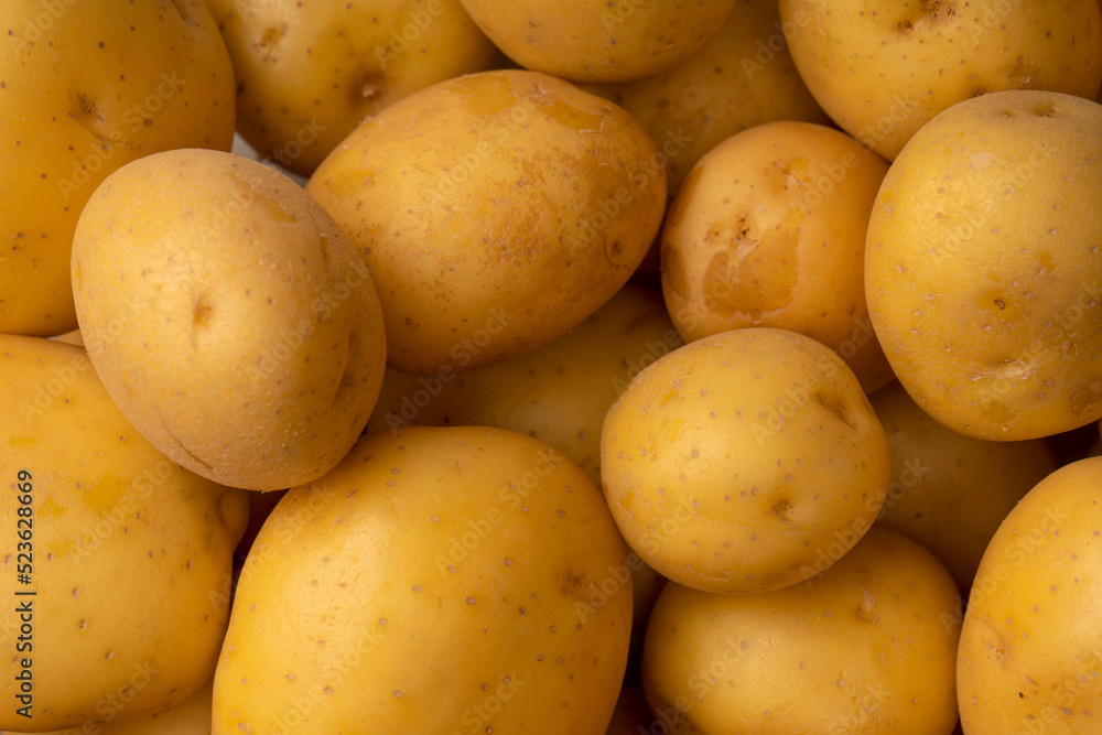A group of fresh tasty potato as background. A group of fresh tasty potato as background.