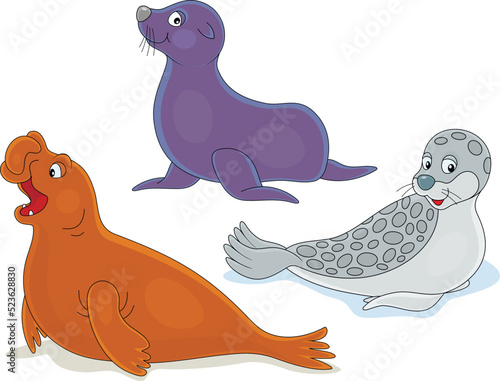 Vector cartoon set of a funny sea elephant and seals